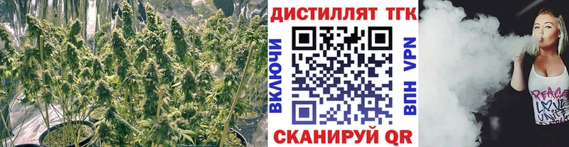 как найти закладки Темников ТГК жижа