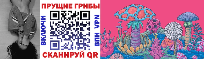 Галлюциногенные грибы мицелий  наркота  shop телеграм  Темников 